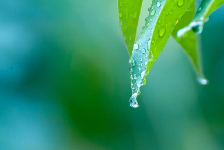 微信圖片_20250304110756