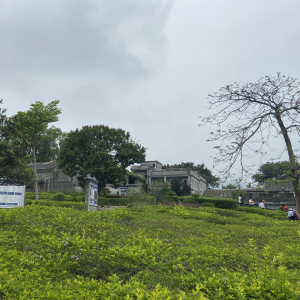 71D2FB72B7A2ACA24270128ADE42F47C