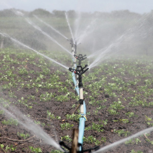 irrigation-588941_1920